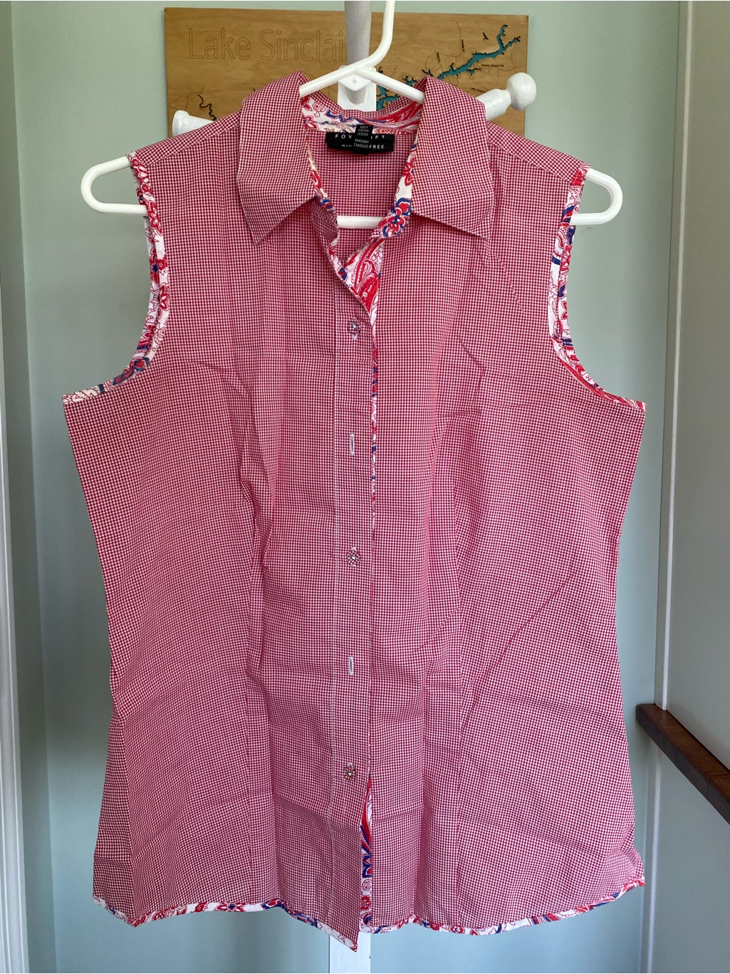Collared Gingham Sleeveless Button Down